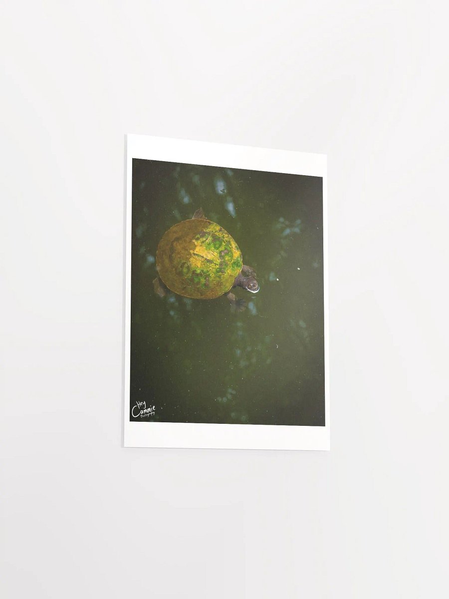 The Turtle Pond - Print product image (3)
