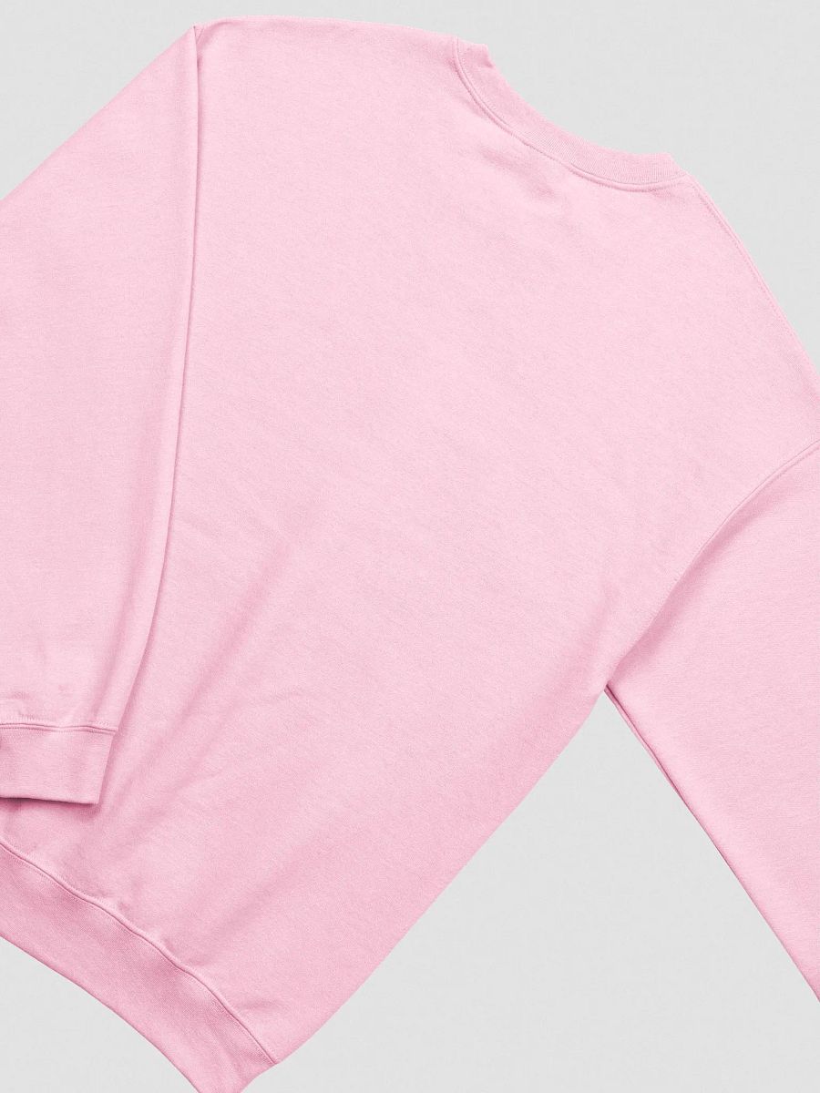 Bubbly and a B*tch embroidered crewneck product image (3)
