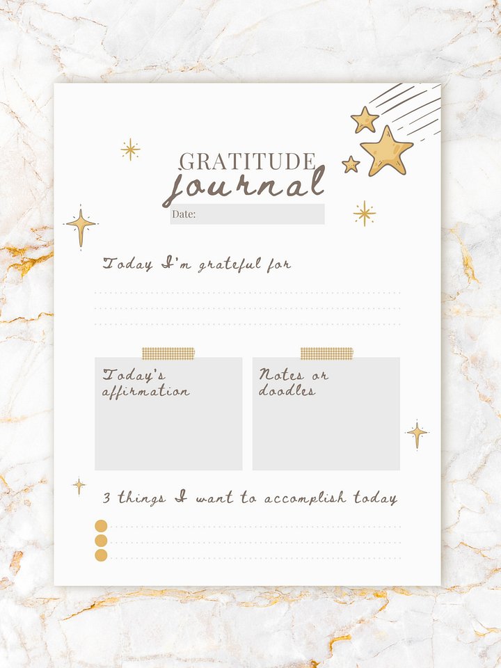 Daily Gratitude Journal Printable product image (1)