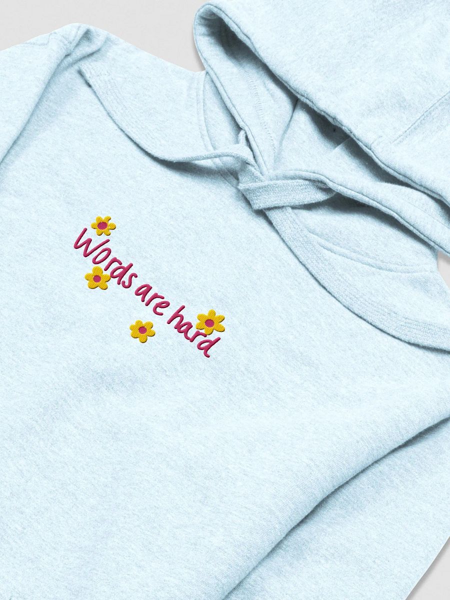 Words Embroidered Hoodie product image (12)