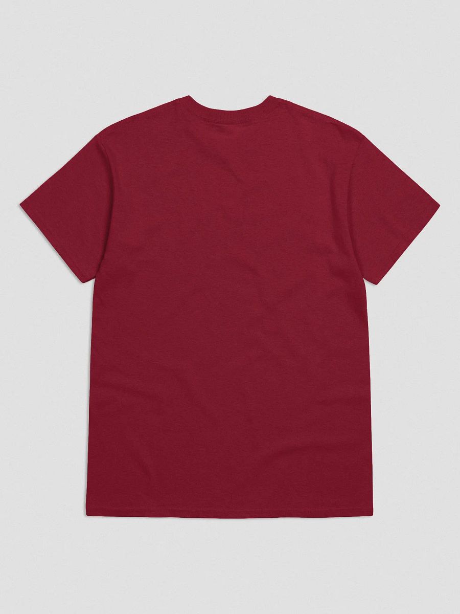 Park to Prem T-Shirt (Colour) product image (5)