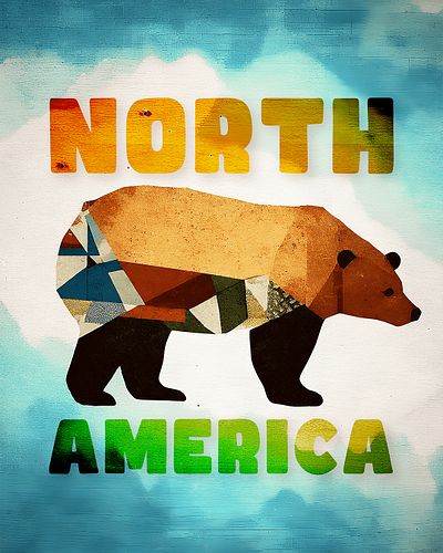 North America - Brown Bear

☝LINKS IN BIO☝

Strength commands respect, wisdom and experience reflect in its sophisticated gaz...