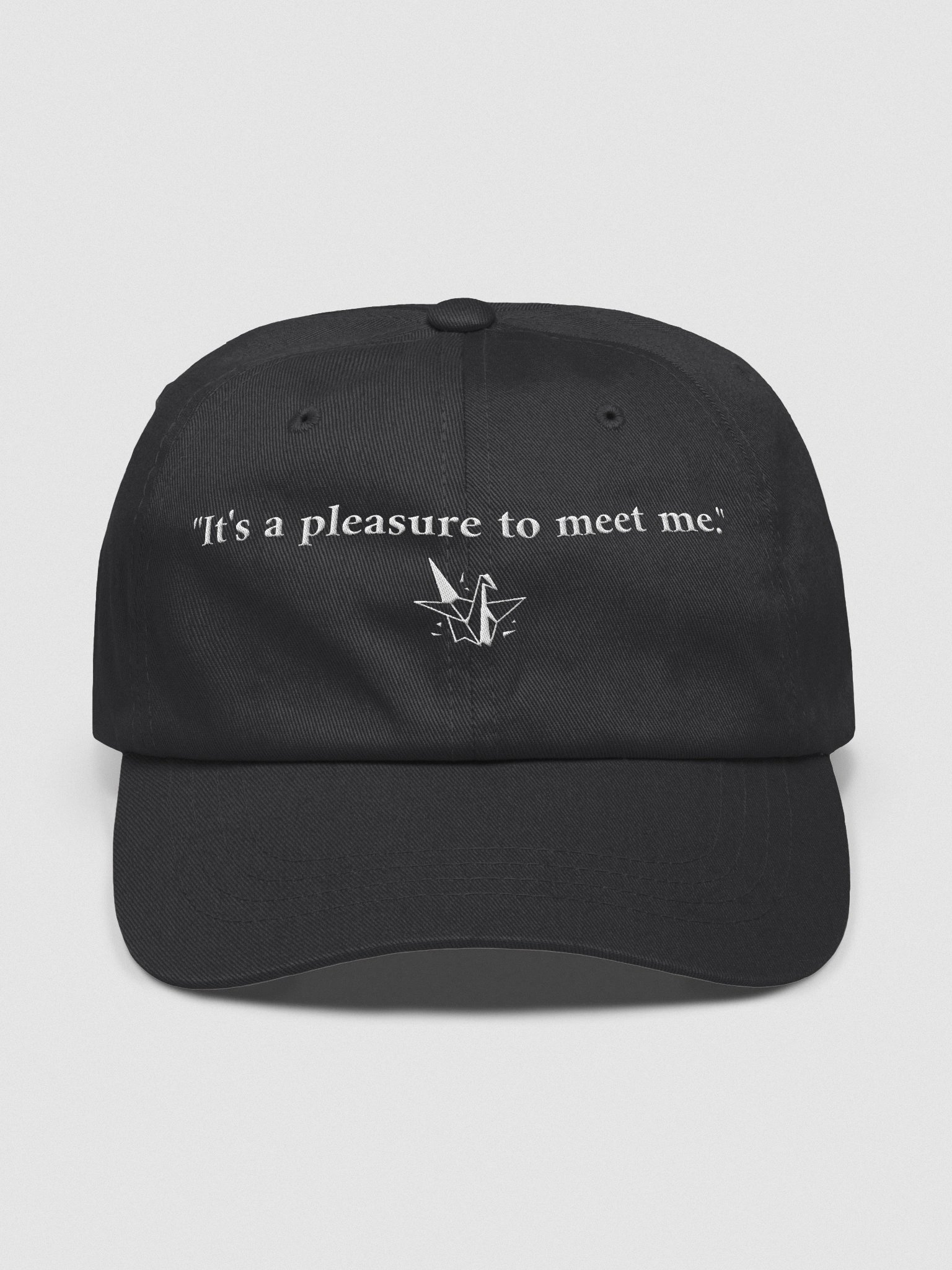It's a pleasure to meet me Cap product image (1)