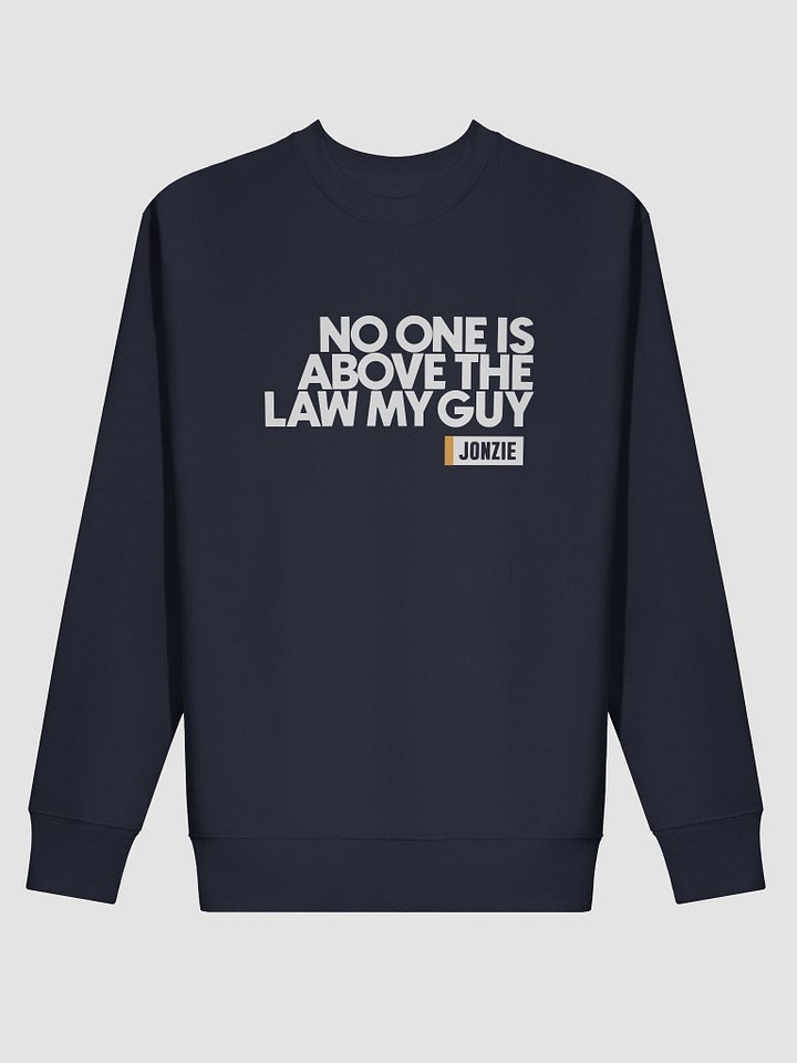 NO ONE IS ABOVE THE LAW SWEAT product image (2)
