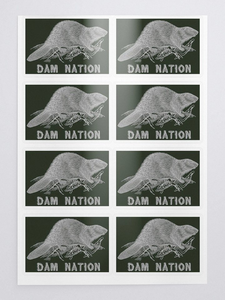 Dam Nation Sticker Sheet product image (2)