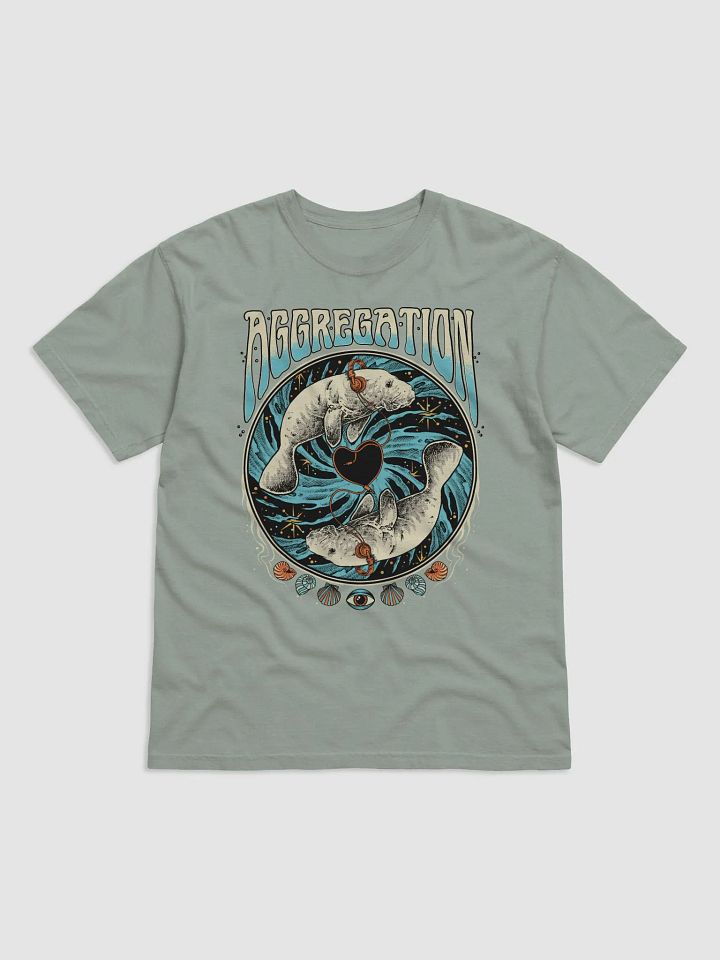 Aggregation Band Tee product image (4)