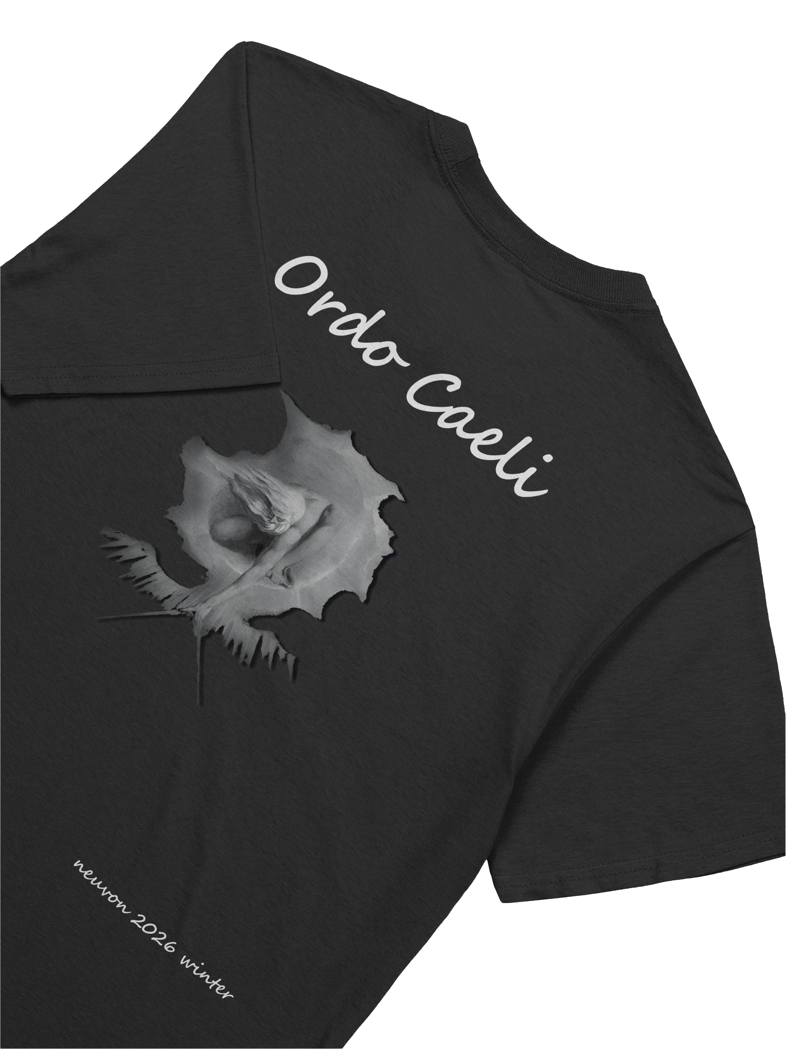 Ordo Caeli Softstyle T-Shirt - Winter 2026 product image (8)