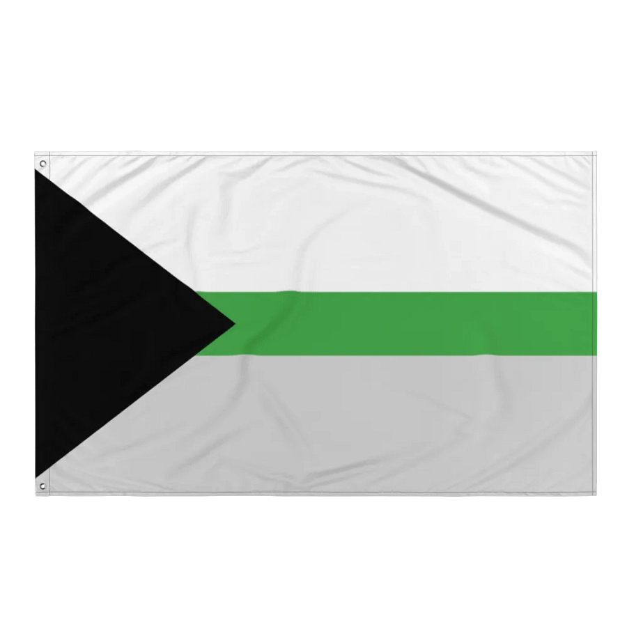 Demiromantic Flag product image (3)