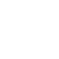 Swish Clothing Brand
