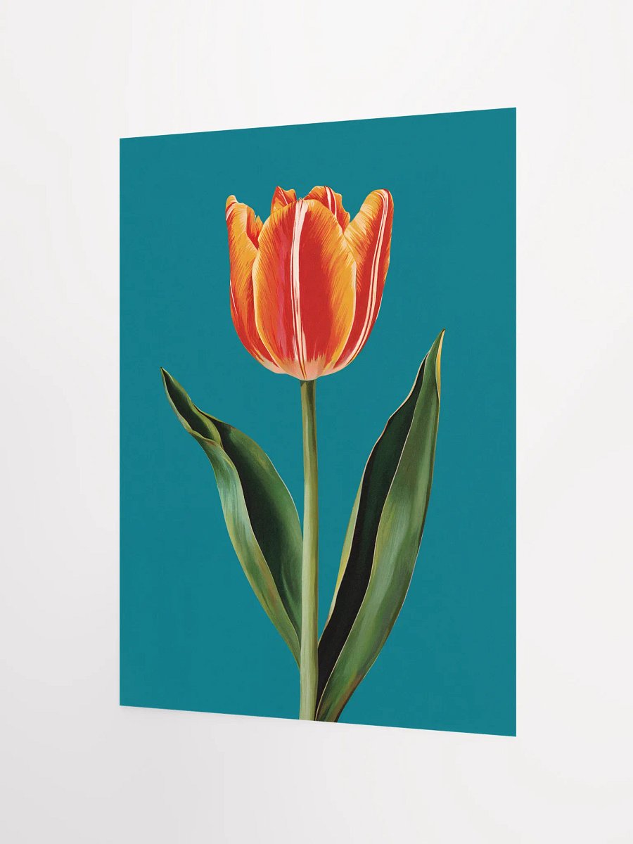 Tulip Print product image (8)