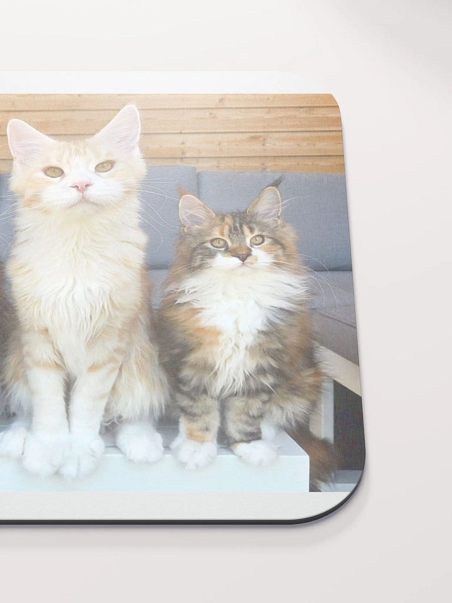 4 Generations - Mouse Pad product image (6)