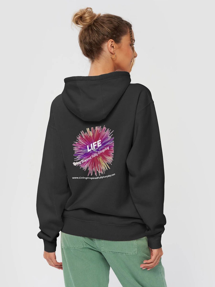 Lane Seven Premium Pullover Hoodie product image (25)