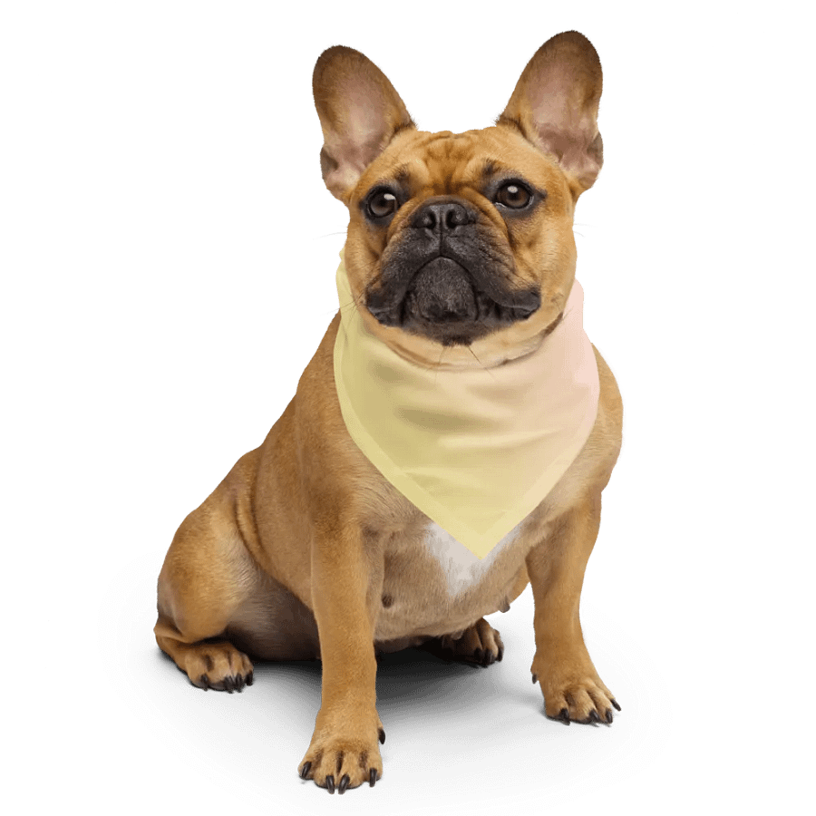 Bandana LOVE product image (6)
