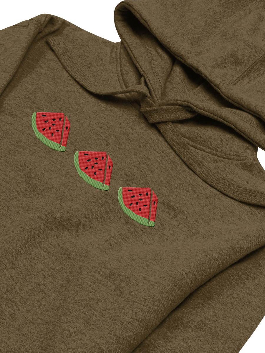 Sandia Embroidered Hoodie (green) product image (2)