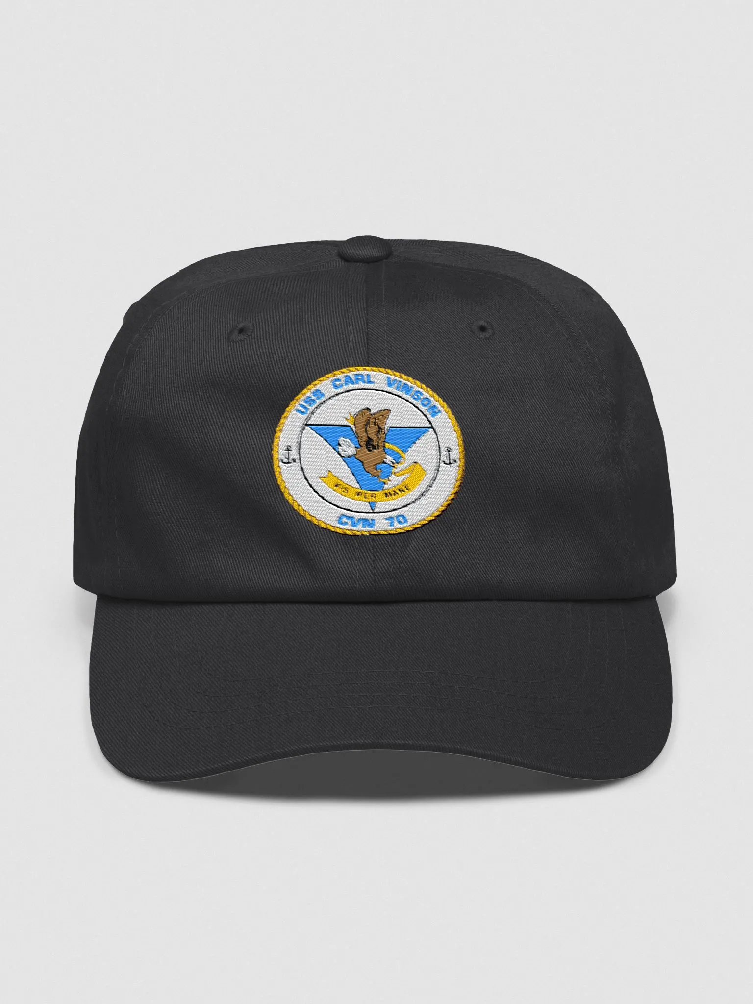 USS Carl Vinson CVN 70 product image (1)