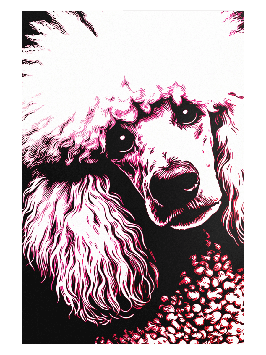 Pop Art Poodle Print / Frame Not Included product image (1)