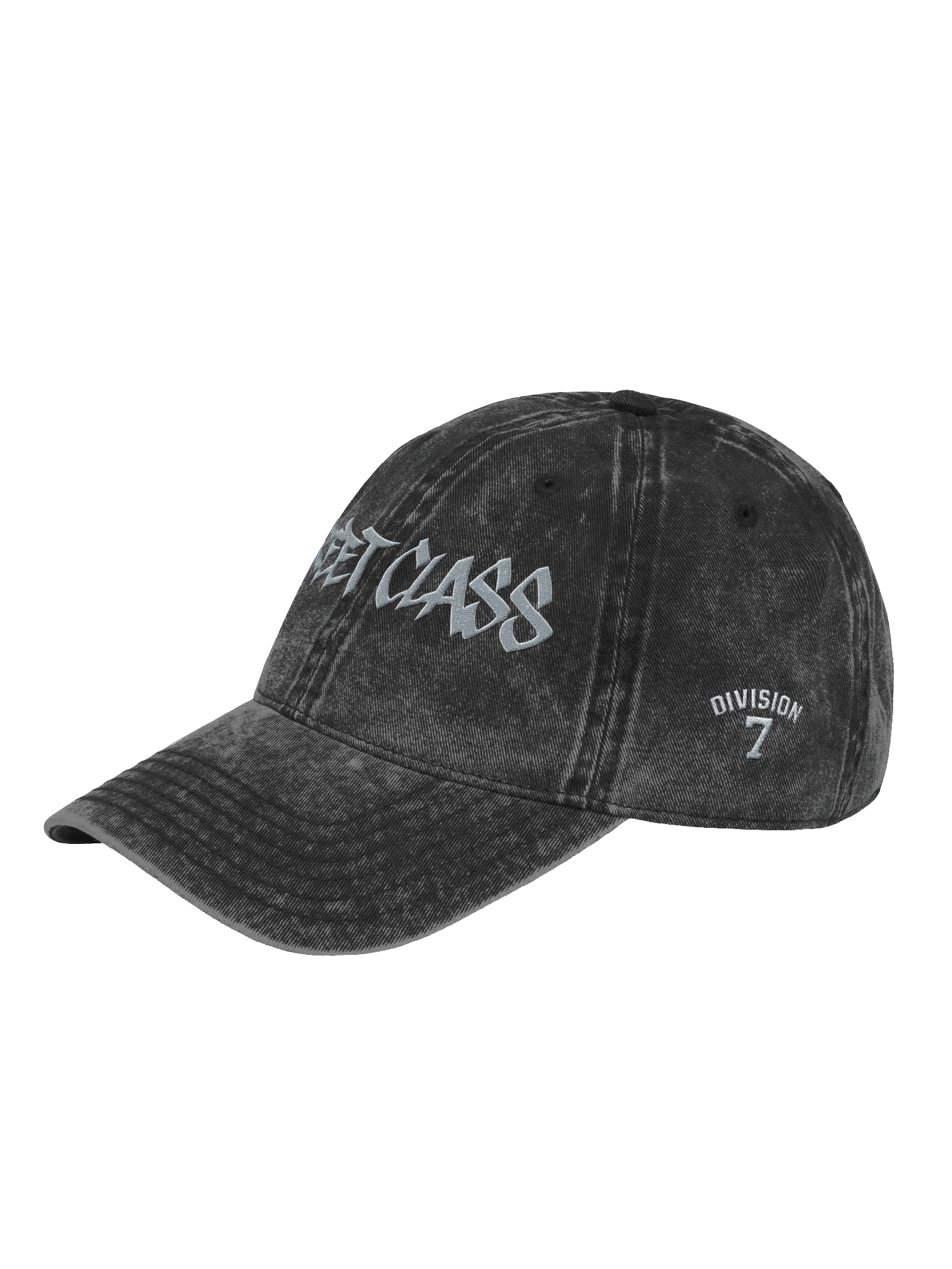 DIVISION 7 DAD HAT product image (2)