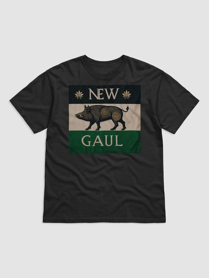 Gaul 1 product image (1)