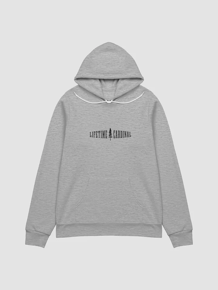 Limited Edition Hoodie - Gray product image (2)