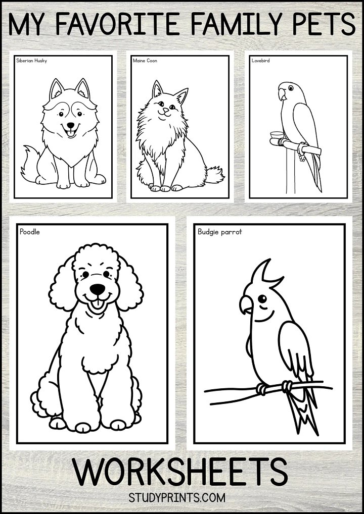MY FAVORITE PET Coloring Worksheet printable product image (1)