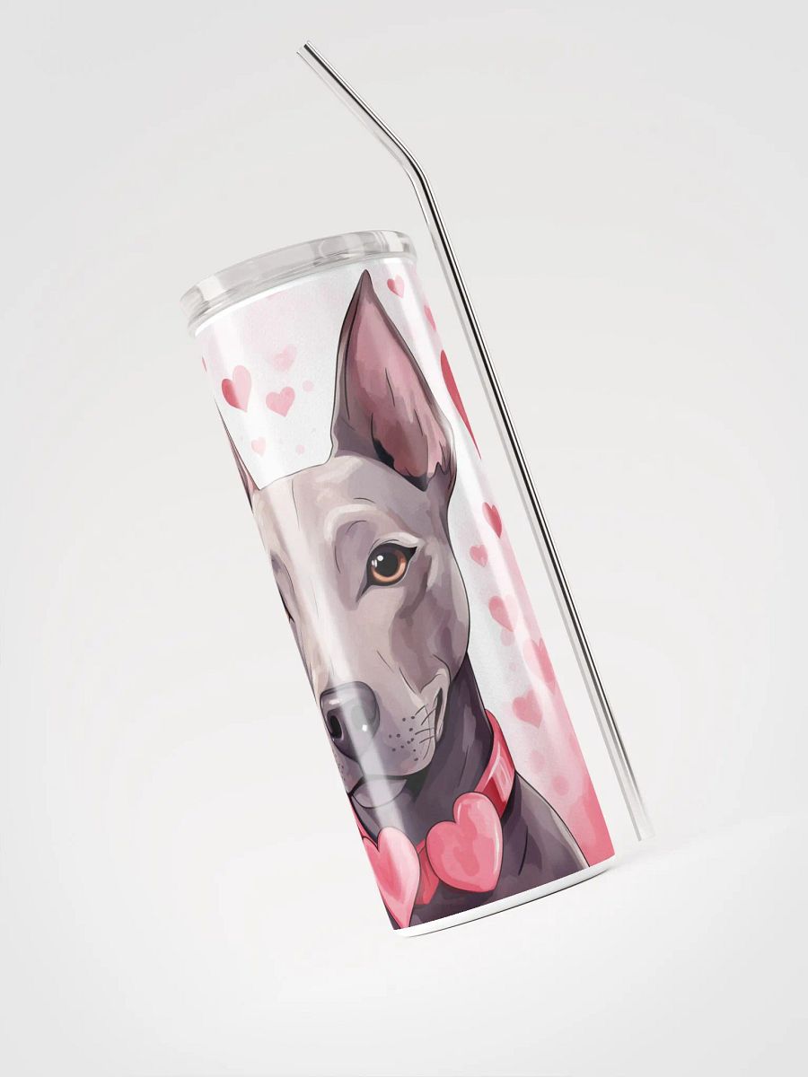 My American Hairless Terrier Dog Is My Valentine product image (3)