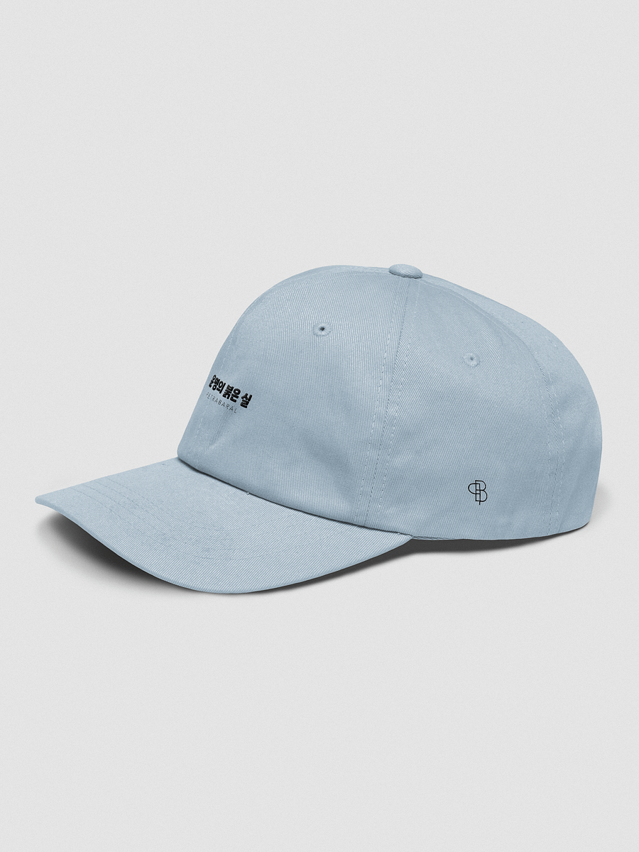 TRTOF Dad Hat product image (11)