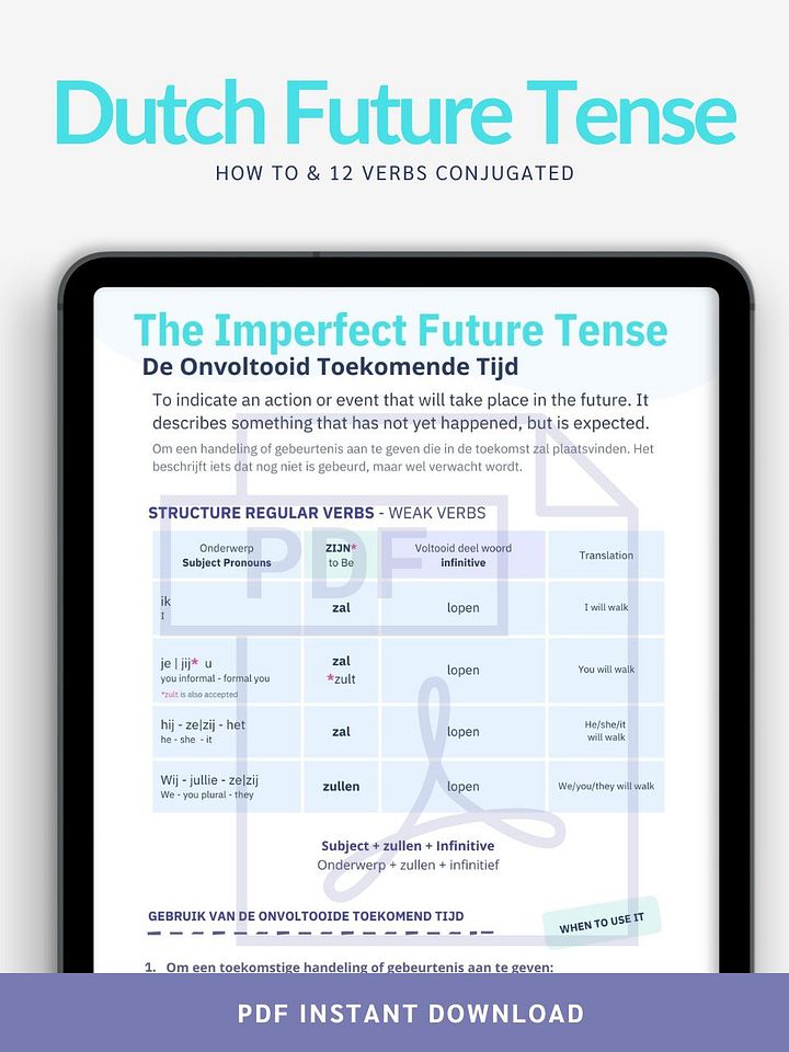 The Simple Future Tense product image (1)