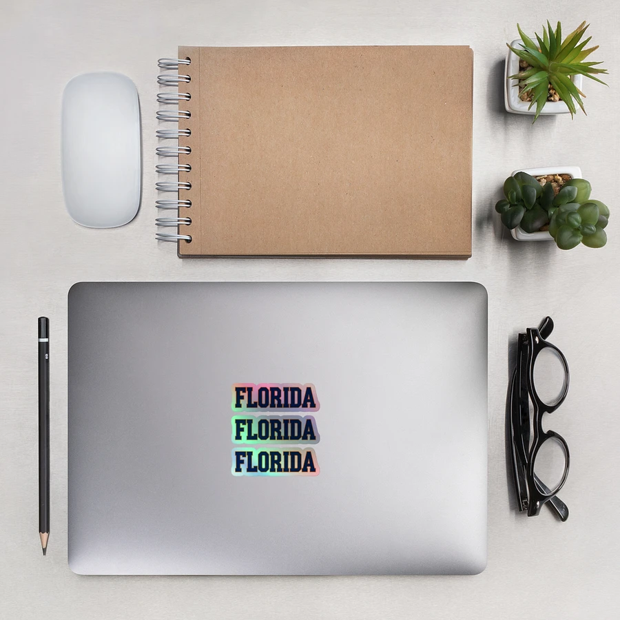 3 Florida Bold Holographic Sticker Set product image (11)