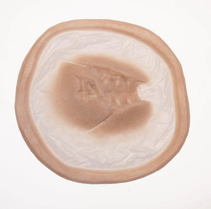 Pre-order Jess FX - Appliance - Ripped Zombie Mouth product image (2)