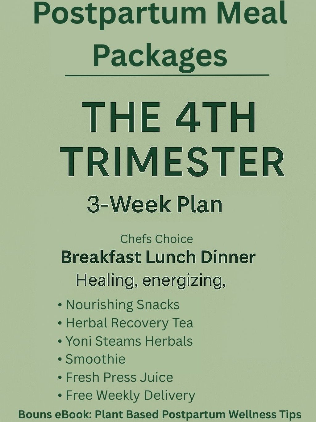 The 4th Trimester 3 Week Healing Support product image (1)