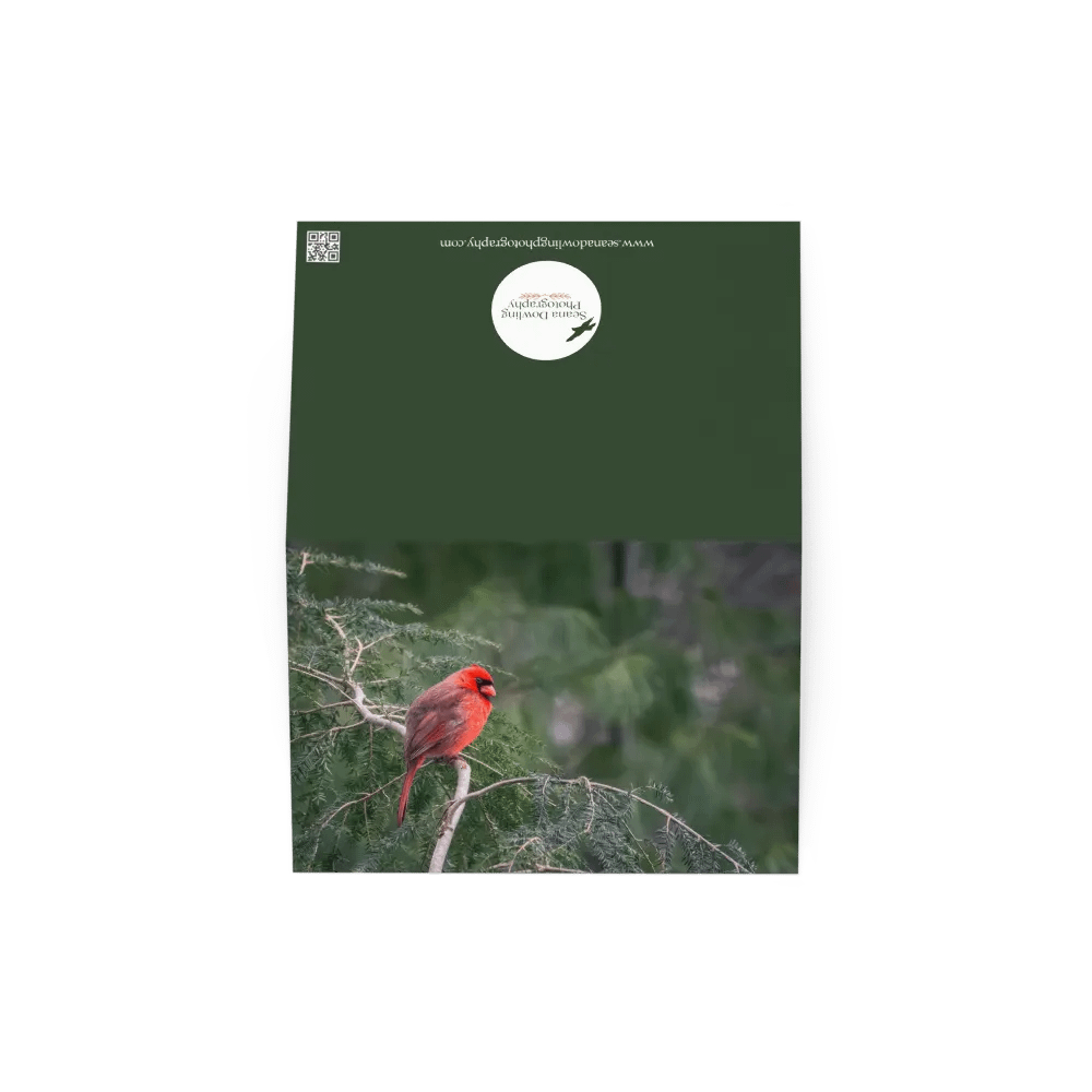 Cardinal on the Green Notecard product image (7)