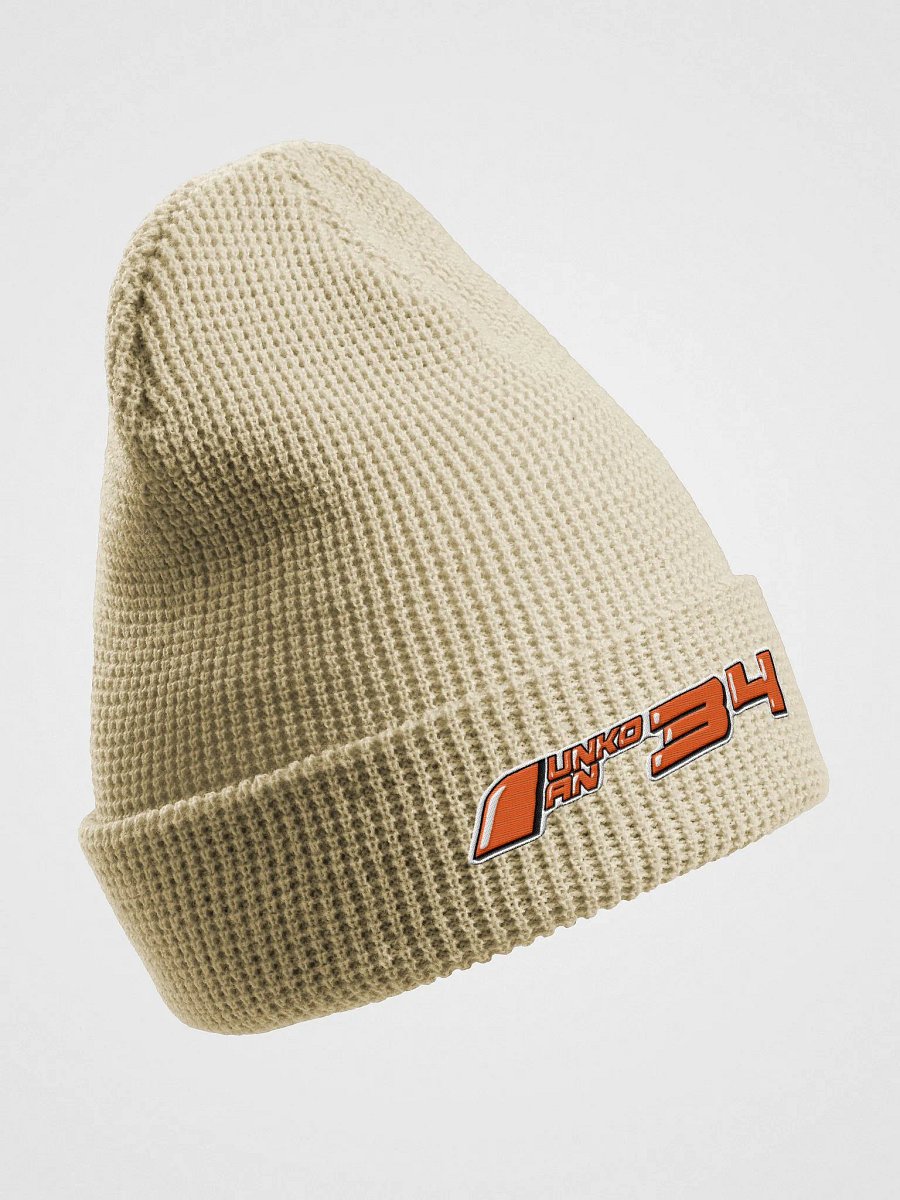 FF34 Beanie product image (10)