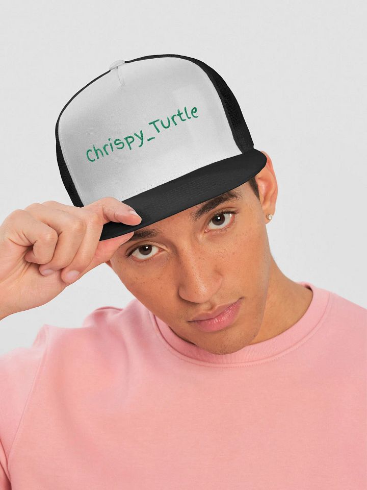 Chrispy_Turtle Hat product image (2)