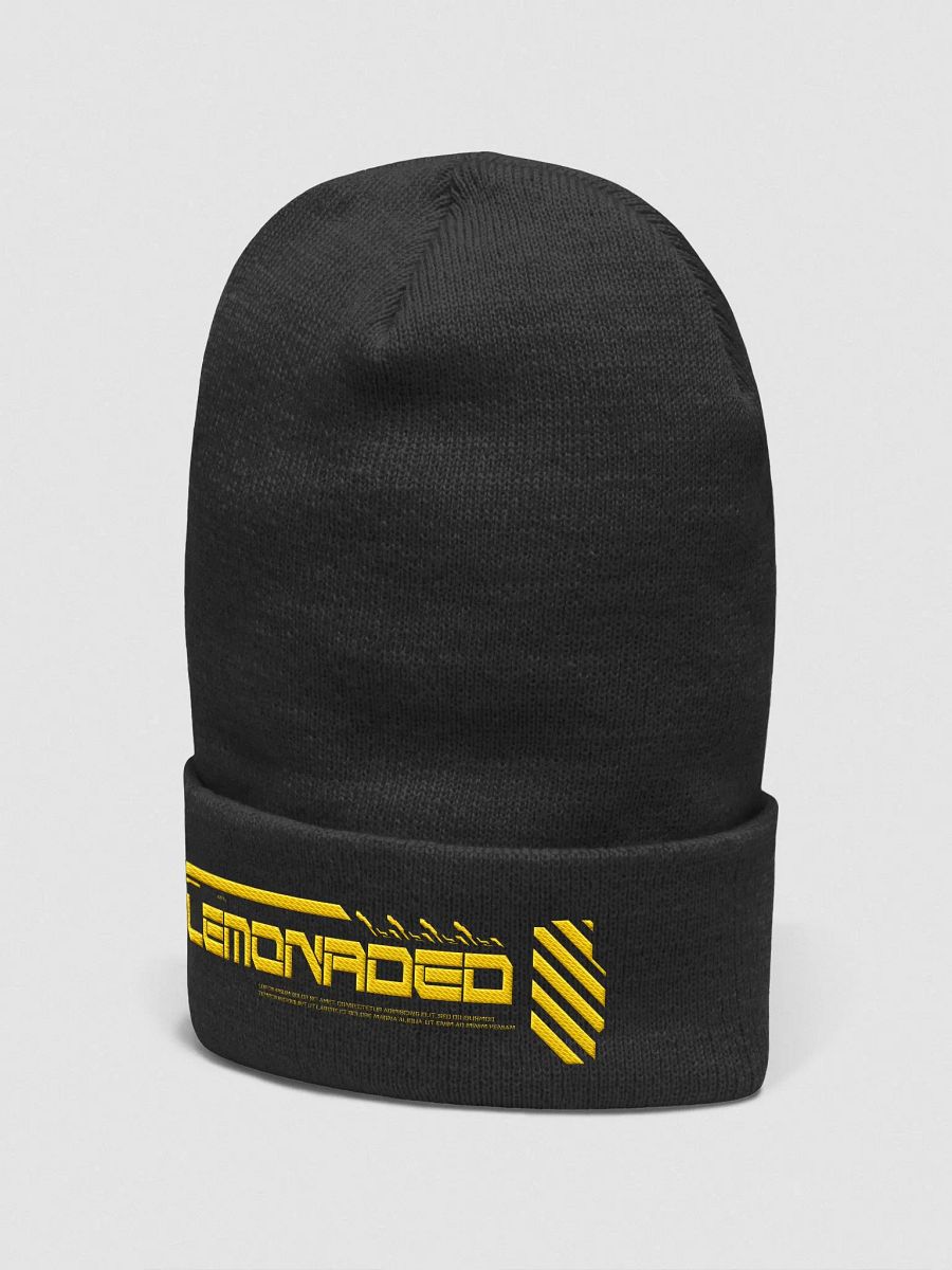 2117 - Beanie product image (8)