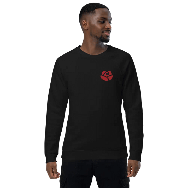 SOL'S Unisex Organic Raglan Sweatshirt product image (1)
