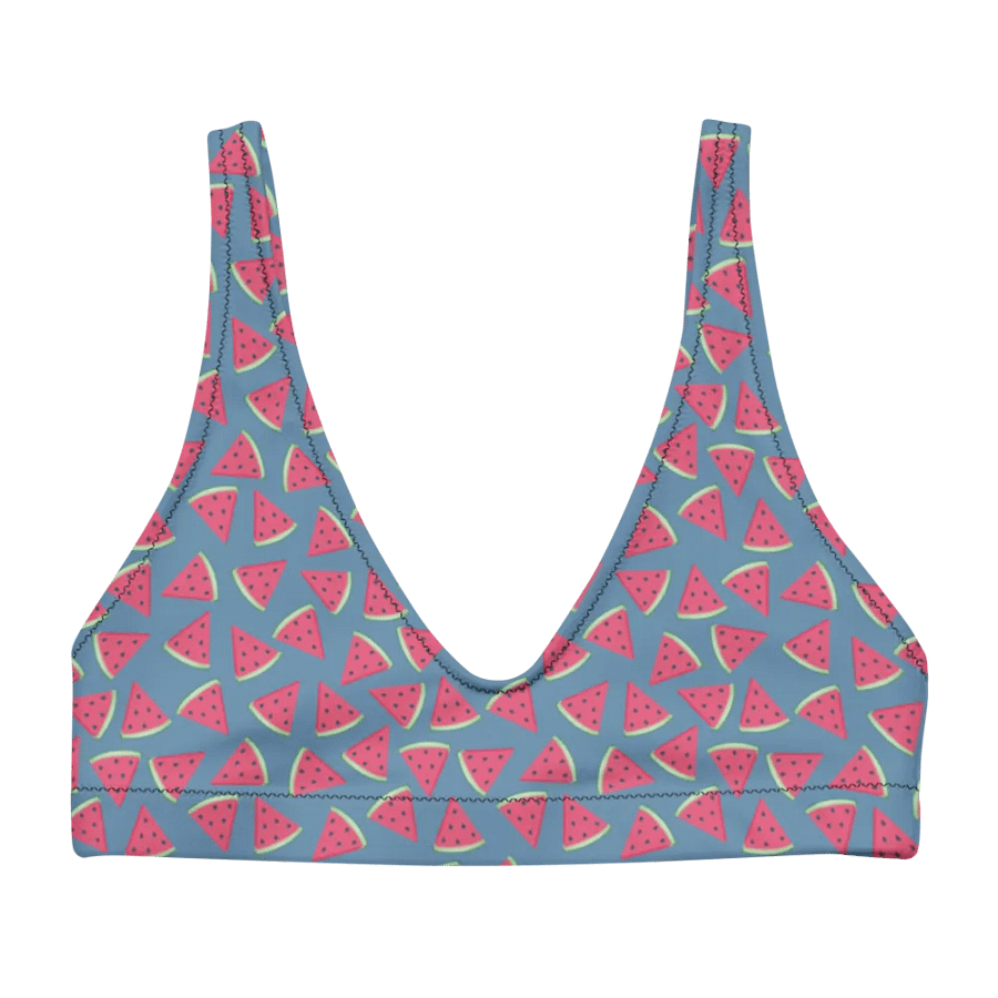 Watermelon Patterns Bikini Top product image (2)
