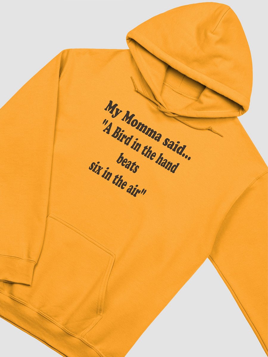 A Bird in the Hand Beats Six in the Air hoodie product image (25)