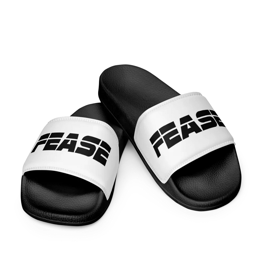 Feasy Slides product image (9)