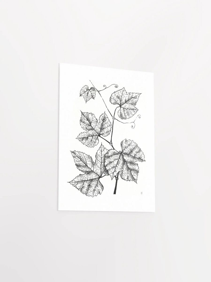 Enchanted Vine: Premium Matte Poster - Grape Leaves product image (3)