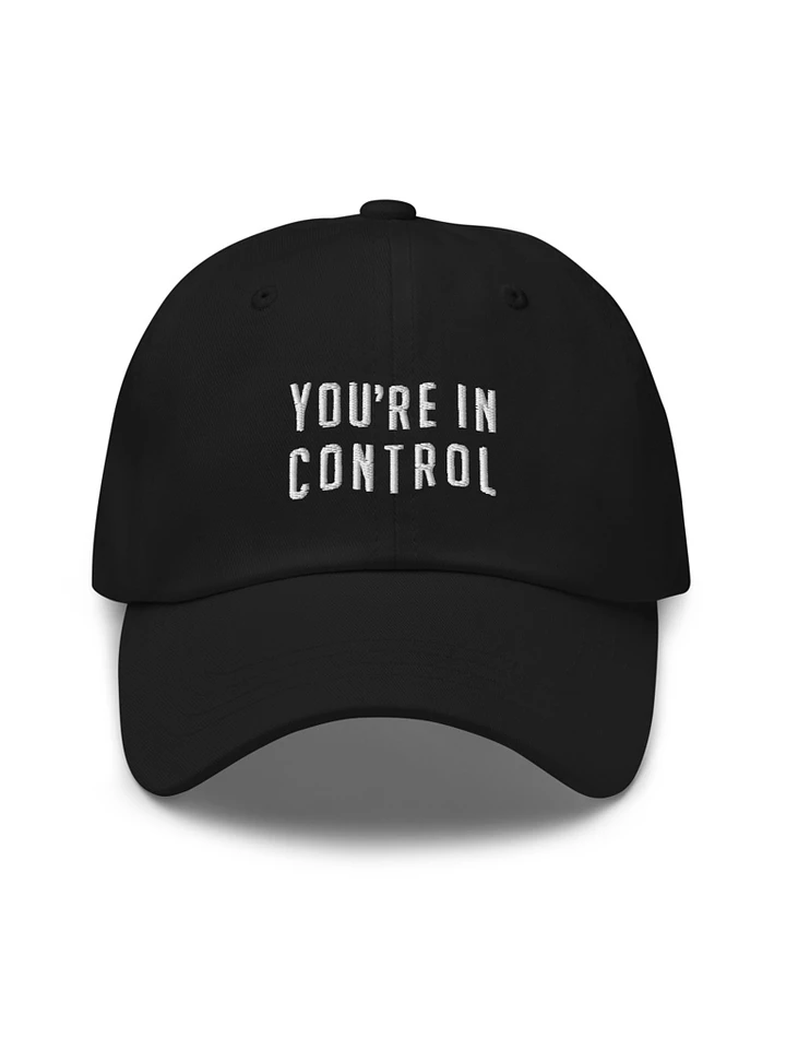You're In Control - Embroidered Hat product image (1)