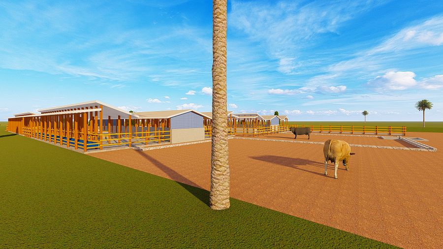 70 Dairy Cows Design Plan product image (10)