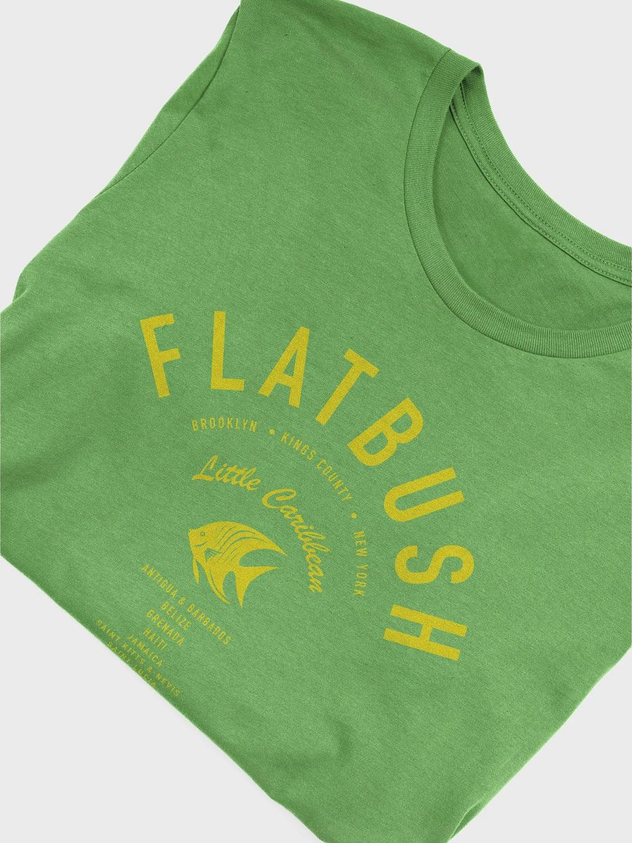 Flatbush Little Caribbean Jamaica product image (5)