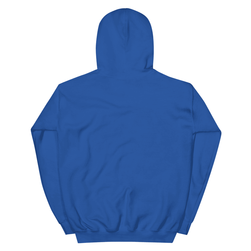 Lit (Slang terms) Classic Hoodie product image (14)