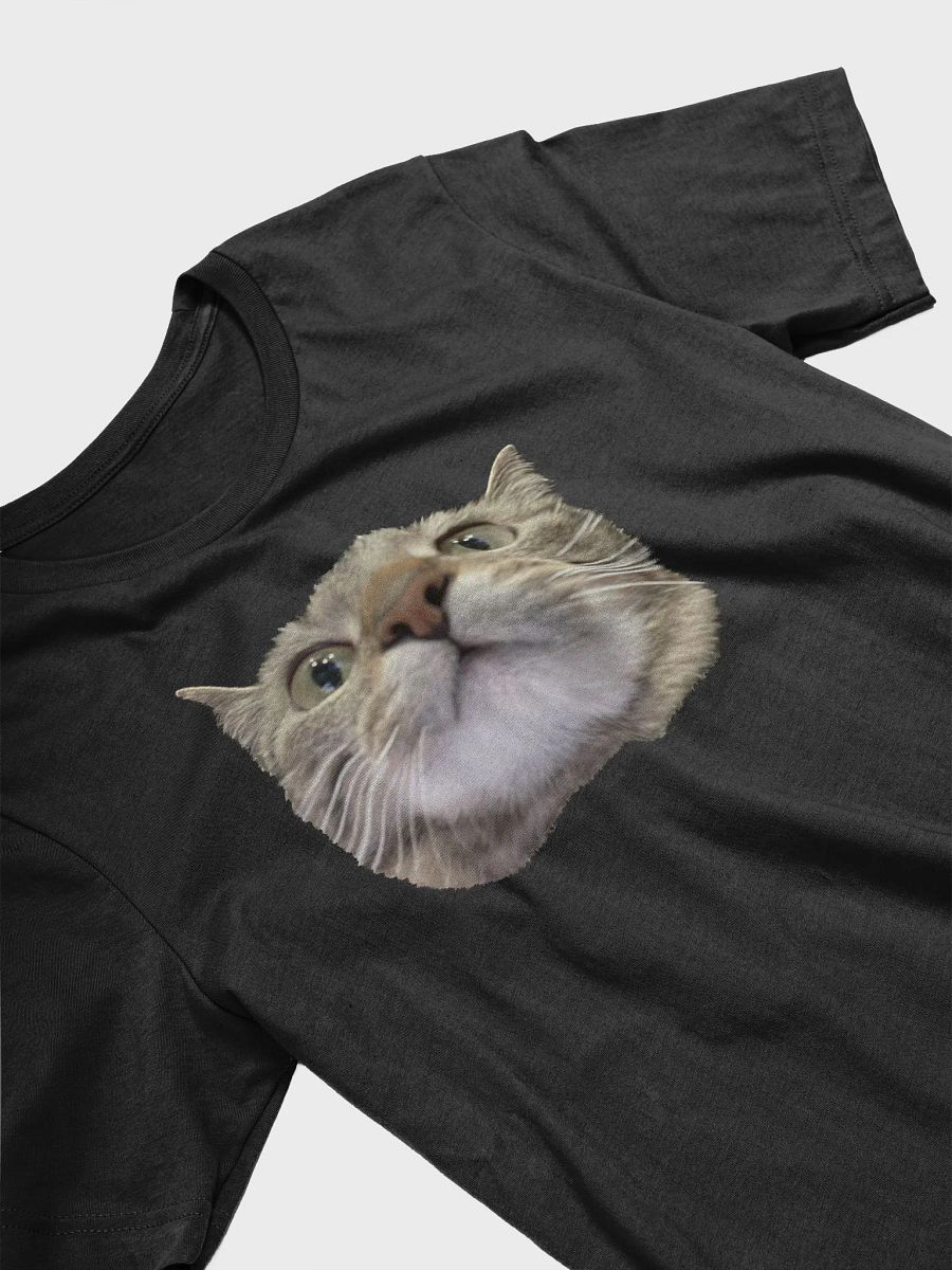Bea Shirt product image (3)