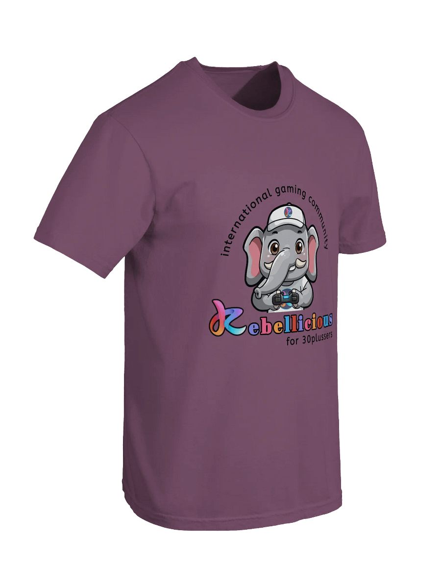 Comfort Colors Gaming T-shirt product image (88)