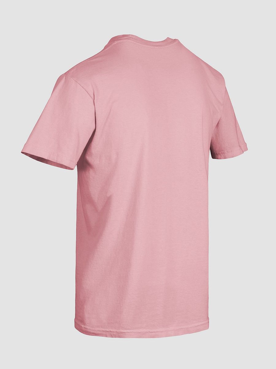Patriotic Mentorship T-Shirt product image (60)