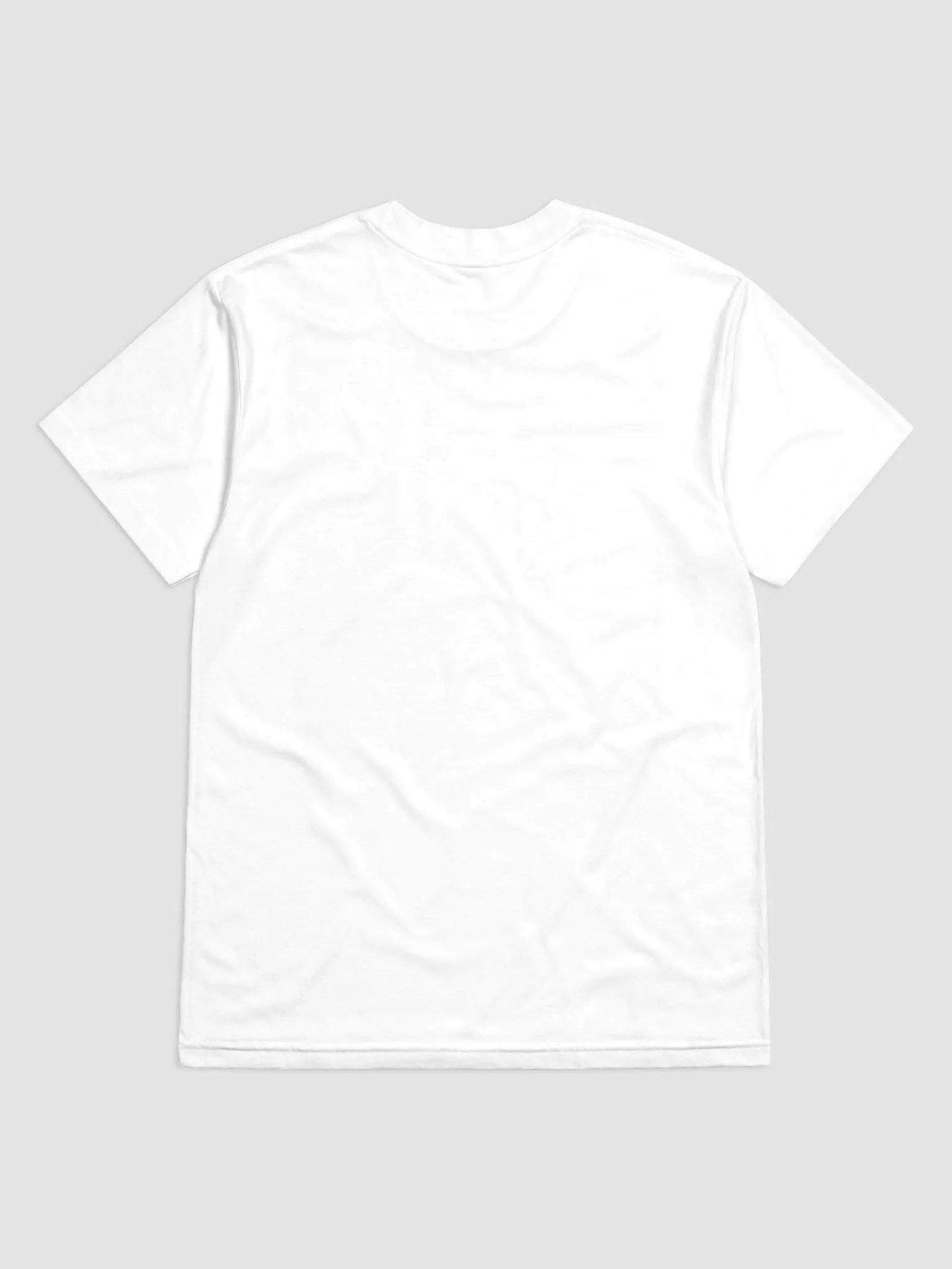 Fine Jersey T-Shirt - JLis and Shane product image (7)