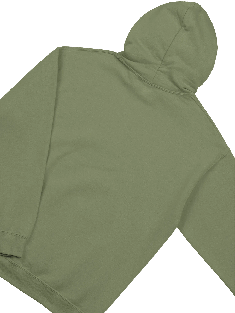Absolutely Not Unisex Hoodie product image (29)