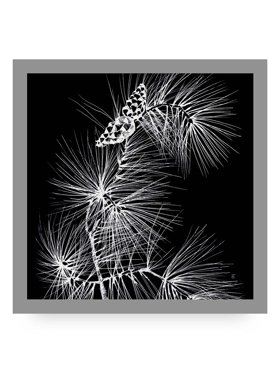Visionary Canvas Collection - Stylish Pine Branch and Cones product image (132)