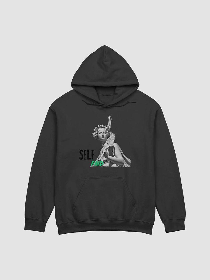 Self Paid Hoddie Designed by Anopa Silver product image (7)